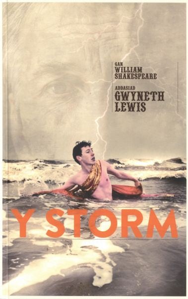 Cover image for Storm, Y, isbn: 9781906396497