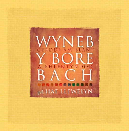 Cover image for Wyneb y Bore Bach - Cerddi am Blant a Phlentyndod, isbn: 9781906396794