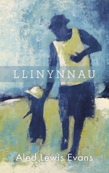 Cover image for Llinynnau, isbn: 9781906396909