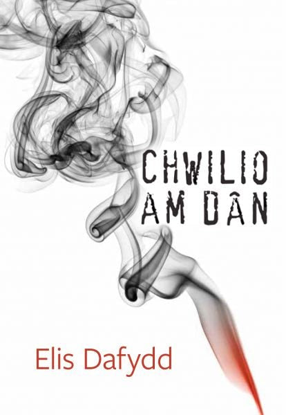 Cover image for Cyfres Tonfedd Heddiw: Chwilio am Dân, isbn: 9781906396916