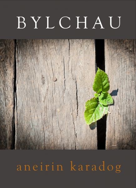 Cover image for Bylchau, isbn: 9781906396923