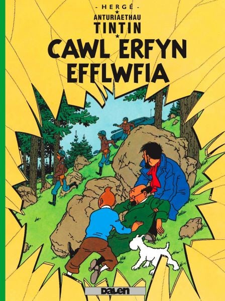 Cover image for Cyfres Anturiaethau Tintin: Cawl Erfyn Efflwfia, isbn: 9781906587239