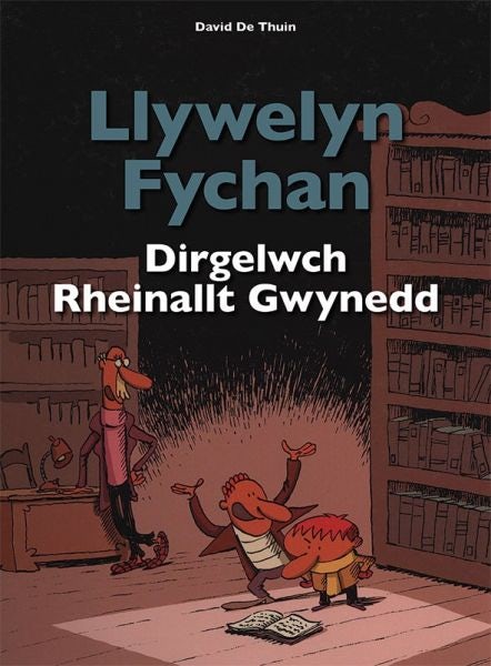 Cover image for Llywelyn Fychan: Dirgelwch Rheinallt Gwynedd, isbn: 9781906587581