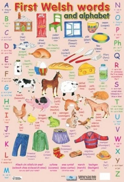Cover image for First Welsh Words and Alphabet, isbn: 9781906707613
