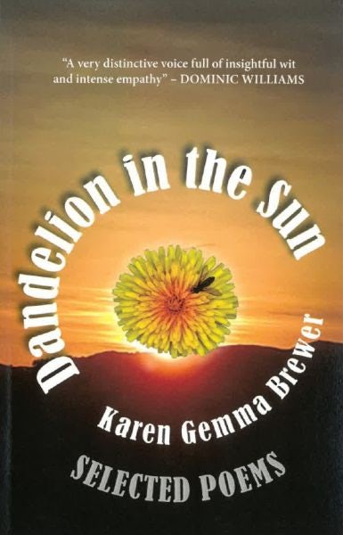 Cover image for Dandelion in the Sun, isbn: 9781906852160