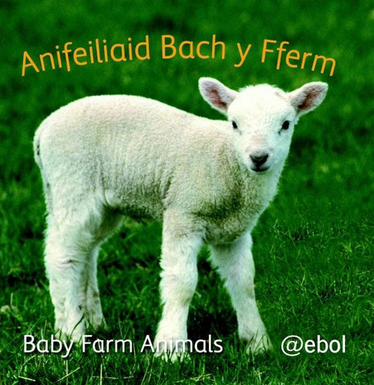 Cover image for Llyfr Clwt: Anifeiliaid Bach y Fferm / Cloth Book: Baby Farm Animals, isbn: 9781907004209