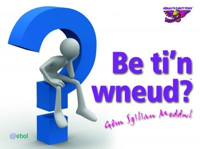 Cover image for Gemau'r Parot Piws: Be Ti'n Wneud? Gêm Sgiliau Meddwl, isbn: 9781907004490
