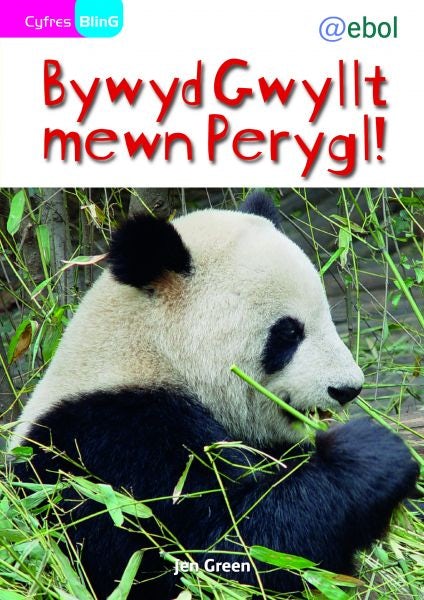 Cover image for Cyfres Bling: Bywyd Gwyllt Mewn Perygl!, isbn: 9781907004513