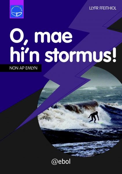 Cover image for Cyfres Dysgu Difyr: O, Mae Hi'n Stormus, isbn: 9781907004759