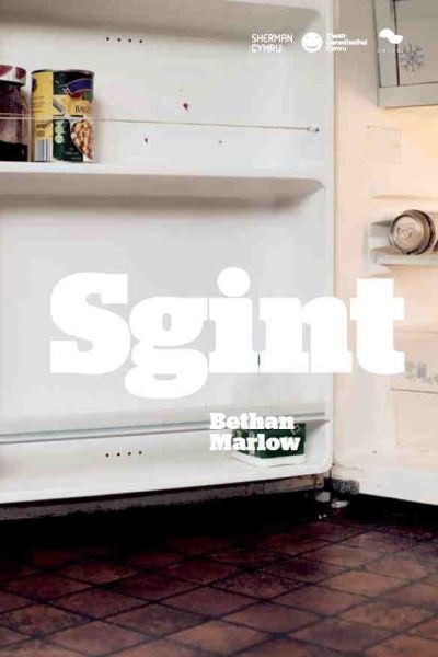 Cover image for Sgint, isbn: 9781907707056