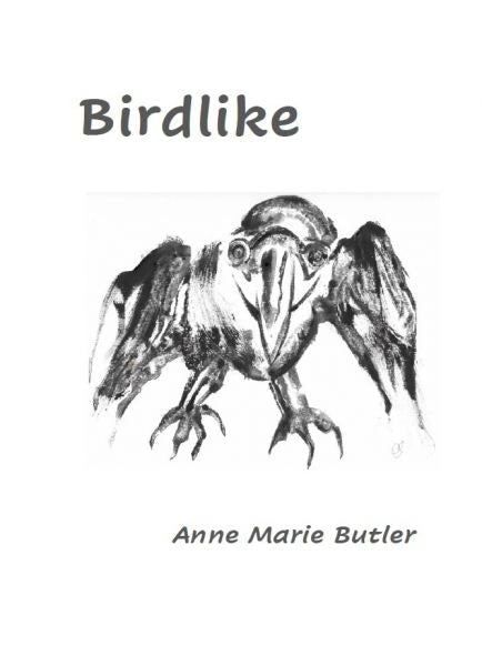 Cover image for Birdlike, isbn: 9781908146168