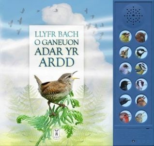 Cover image for Llyfr Bach o Ganeuon Adar yr Ardd (Llyfr Sain), isbn: 9781908489425