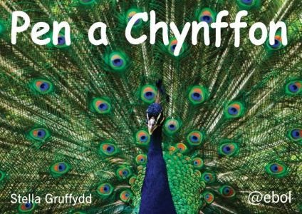 Cover image for Pen a Chynffon - Pecyn Llythrennedd Cardiau'n Unig, isbn: 9781908574930