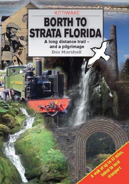 Cover image for Borth to Strata Florida, isbn: 9781908748331
