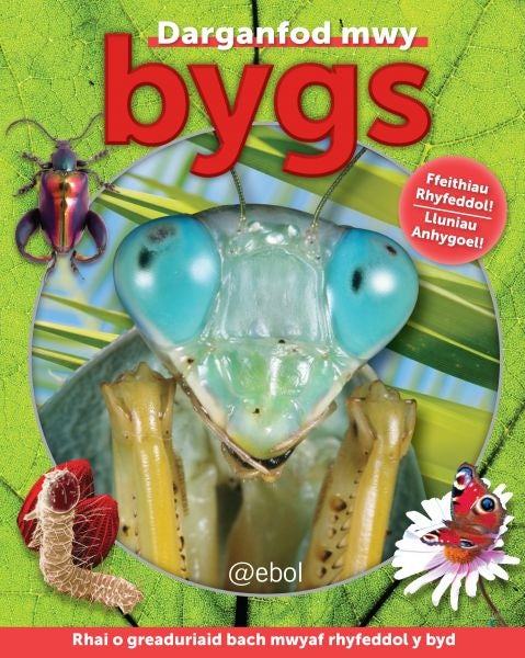 Cover image for Bygs, isbn: 9781909666092