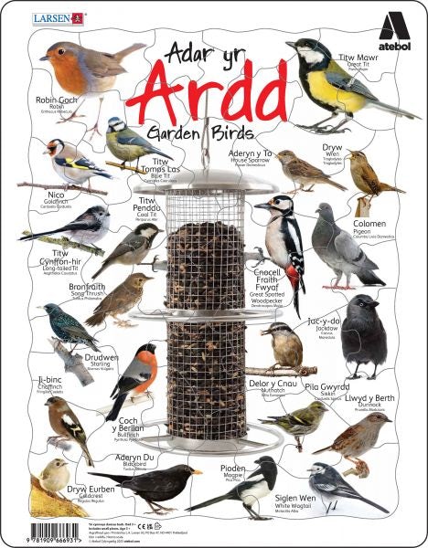 Cover image for Jig-So Adar yr Ardd, isbn: 9781909666931