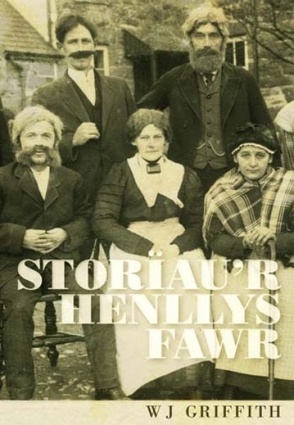 Cover image for Storiau'r Henllys Fawr, isbn: 9781909696112
