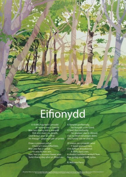 Cover image for Eifionydd, isbn: 9781909823839