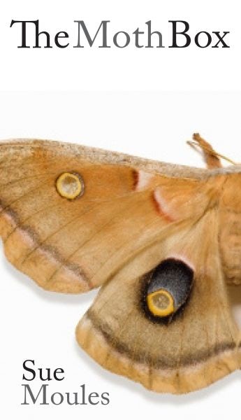 Cover image for Moth Box, The, isbn: 9781909844070