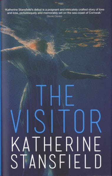 Cover image for Visitor, The, isbn: 9781909844087