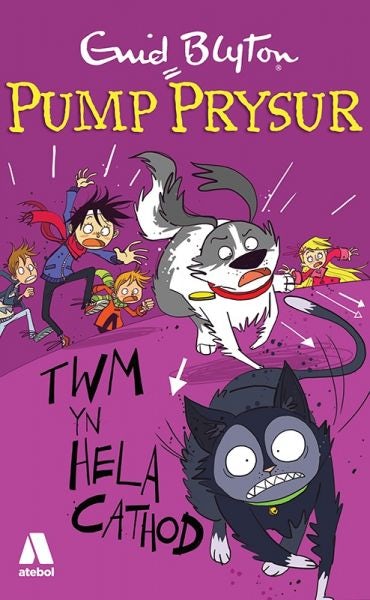 Cover image for Pump Prysur: Twm yn Hela Cathod, isbn: 9781910574171
