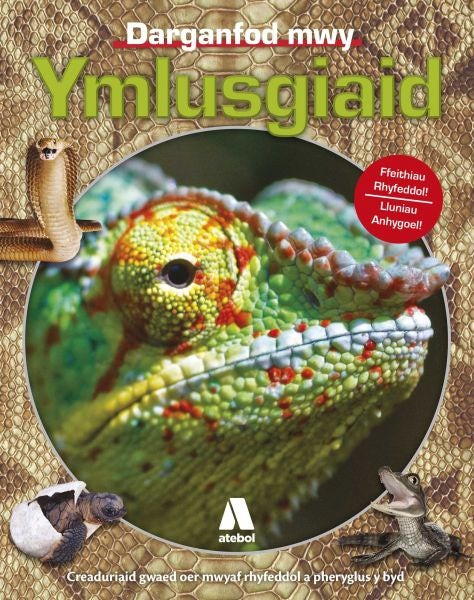 Cover image for Ymlusgiaid, isbn: 9781910574874