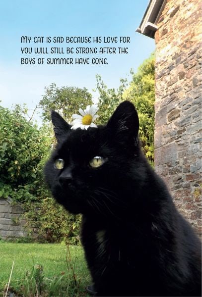 Cover image for My Sad Cat Notebook, isbn: 9781910862056