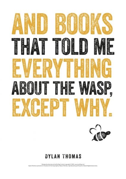 Cover image for Dylan Thomas Print: Books That Told Me Everything, isbn: 9781910862766