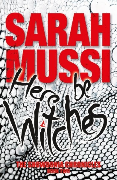 Cover image for Here Be Witches - The Snowdonia Chronicles, isbn: 9781911342328