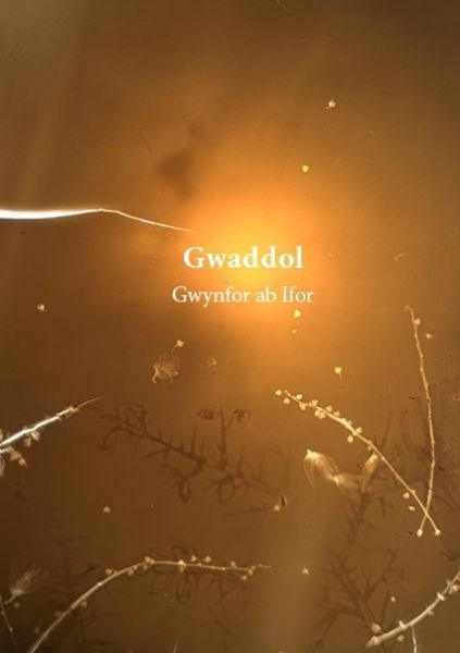 Cover image for Gwaddol, isbn: 9781911584292