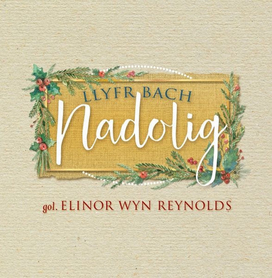 Cover image for Llyfr Bach Nadolig, isbn: 9781911584407