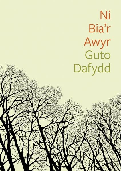Cover image for Cyfres Tonfedd Heddiw: Ni Bia'r Awyr, isbn: 9781911584445