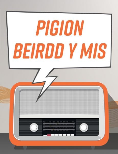 Cover image for Pigion Beirdd y Mis, isbn: 9781911584506