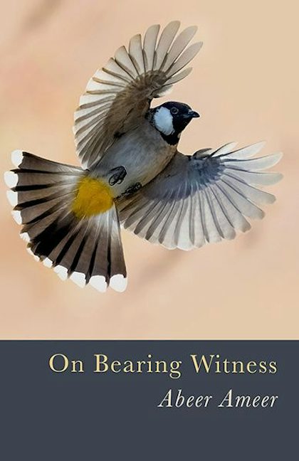 Cover image for On Bearing Witness, isbn: 9781911752189
