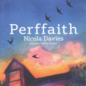Cover image for Perffaith, isbn: 9781912050093