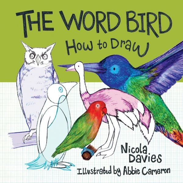 Cover image for How to Draw: The Word Bird, isbn: 9781912050574