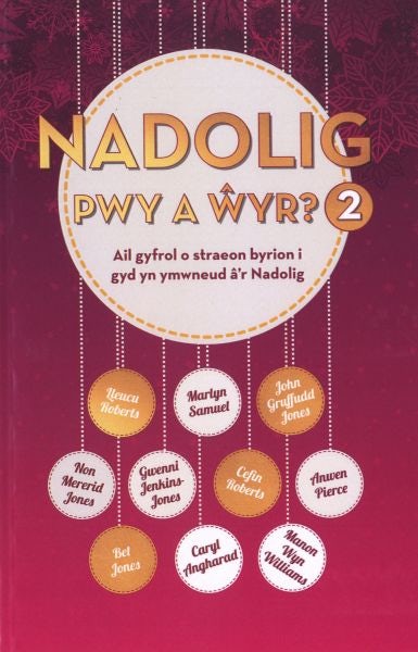 Cover image for Nadolig Pwy a Ŵyr 2, isbn: 9781912173228