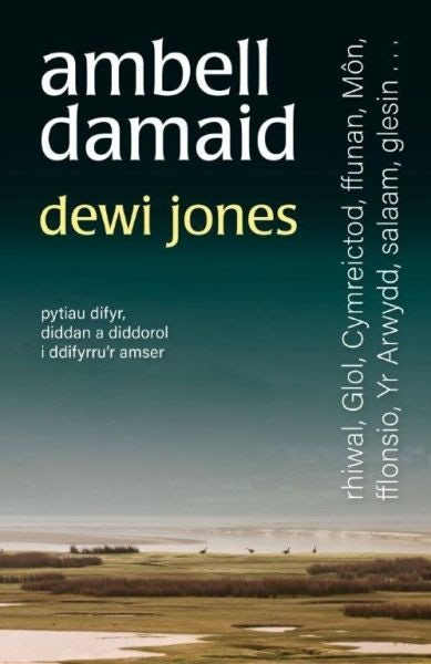 Cover image for Ambell Damaid, isbn: 9781912173372