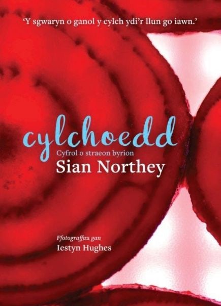 Cover image for Cylchoedd, isbn: 9781912173426