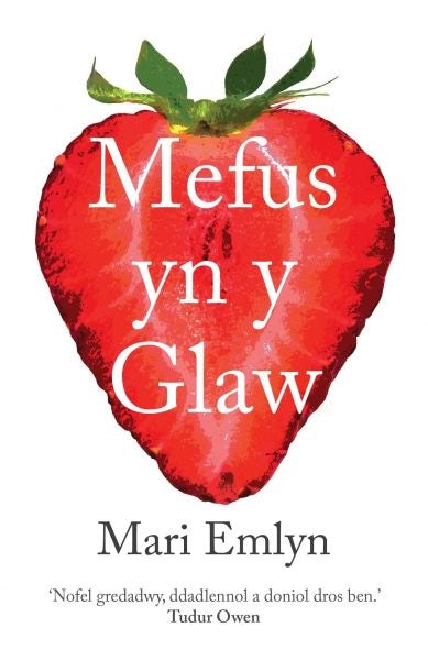 Cover image for Mefus yn y Glaw, isbn: 9781912173488