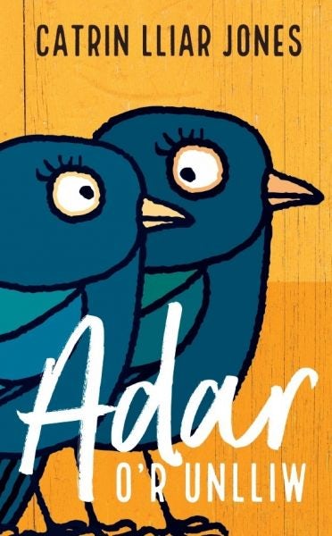 Cover image for Adar o'r Unlliw, isbn: 9781912173570