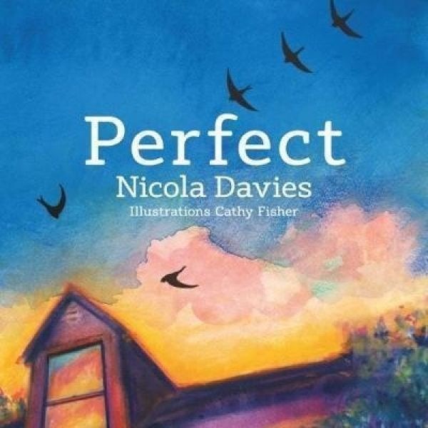 Cover image for Perfect, isbn: 9781912213498