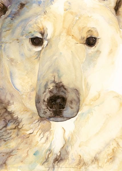 Cover image for Jackie Morris Poster: Ice Bear Poster, The, isbn: 9781912213597