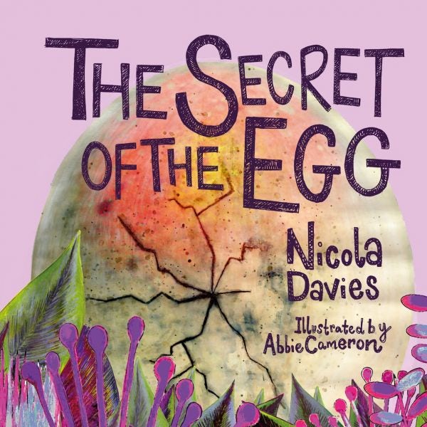 Cover image for The Secret of the Egg, isbn: 9781912213672