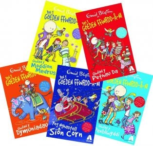 Cover image for Pecyn Cyfres Byd y Goeden Ffwrdd â Ni, isbn: 9781912261079