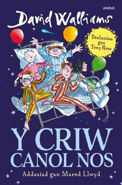 Cover image for Criw Canol Nos, Y, isbn: 9781912261352