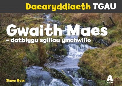 Cover image for Daearyddiaeth TGAU: Gwaith Maes - Datblygu Sgiliau Ymchwilio, isbn: 9781912261369