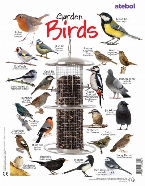 Cover image for Garden Birds Jigsaw, isbn: 9781912261628