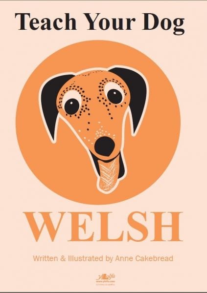 Cover image for Teach Your Dog Welsh, isbn: 9781912631025