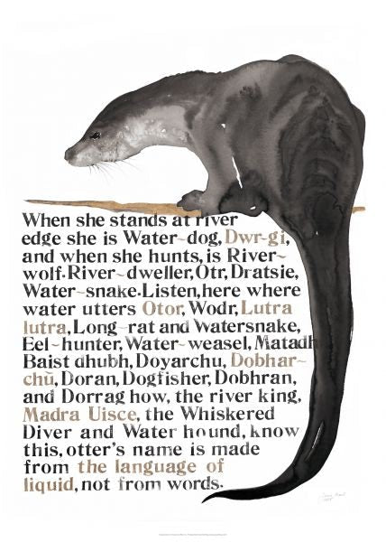 Cover image for Jackie Morris Poster: Names of the Otter, The, isbn: 9781912654482
